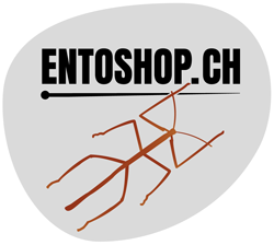 entoshop.ch Jürg Sommerhalder
